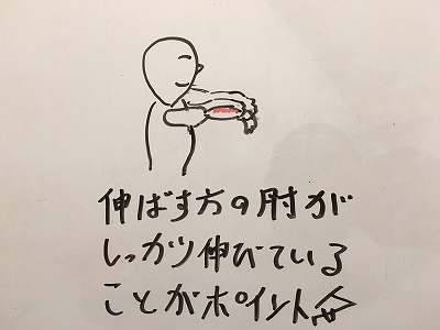 20170516151038-bdd805b31951745c0cbe8a43302d244b2e5ebd78.jpg